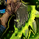 Strongblood's Ceremonial Cleaver