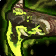 Gebbo's Backup Blaster