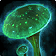 Mycolic Medicine