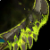 Malignant Toothed Edge