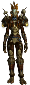 Grizzled Warbringer